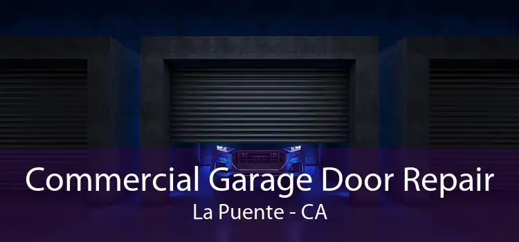 Commercial Garage Door Repair La Puente - CA
