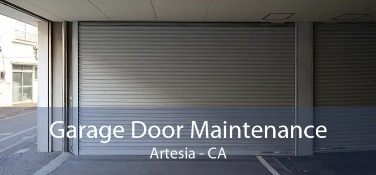 Garage Door Maintenance Artesia - CA