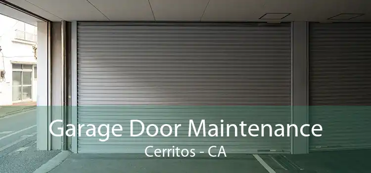 Garage Door Maintenance Cerritos - CA