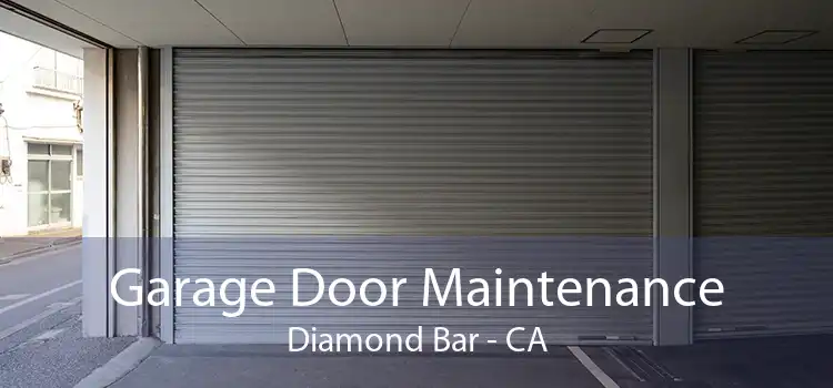 Garage Door Maintenance Diamond Bar - CA