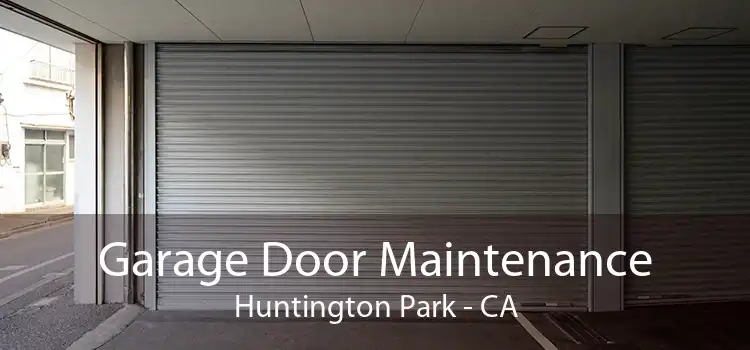 Garage Door Maintenance Huntington Park - CA