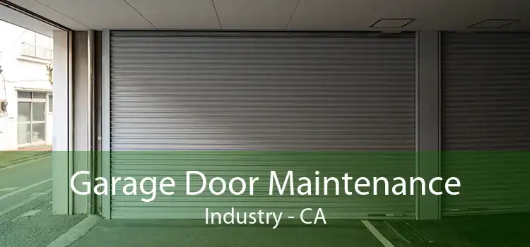 Garage Door Maintenance Industry - CA