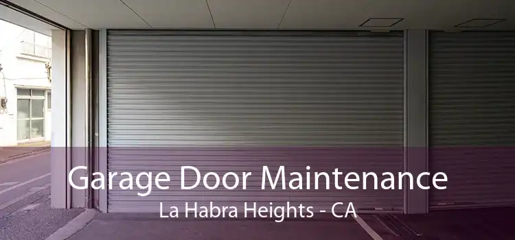 Garage Door Maintenance La Habra Heights - CA