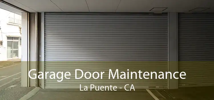 Garage Door Maintenance La Puente - CA