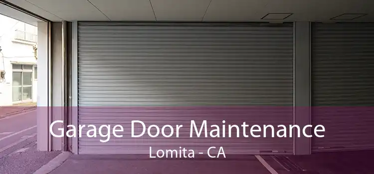 Garage Door Maintenance Lomita - CA