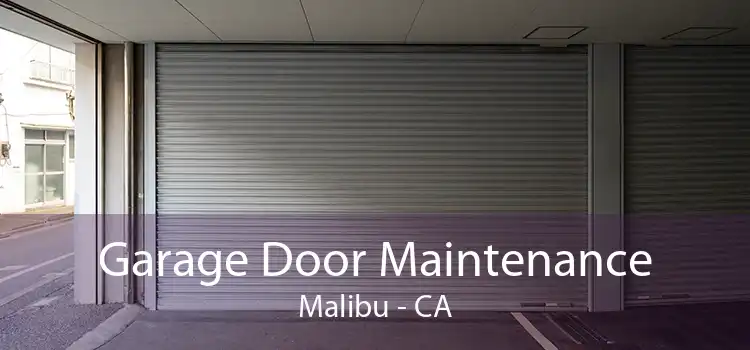 Garage Door Maintenance Malibu - CA