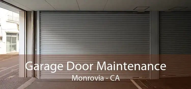 Garage Door Maintenance Monrovia - CA