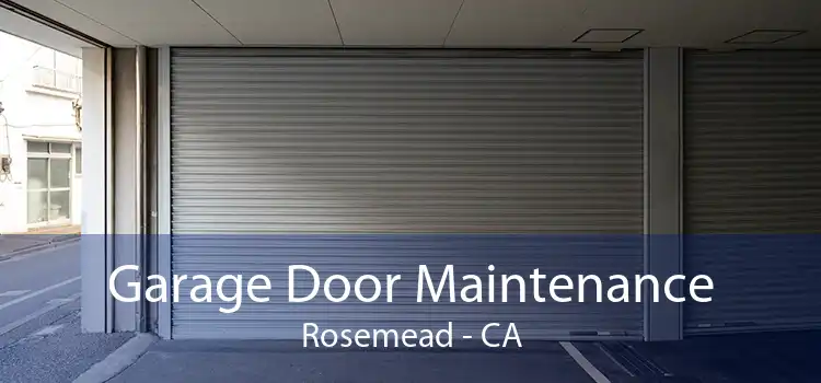 Garage Door Maintenance Rosemead - CA