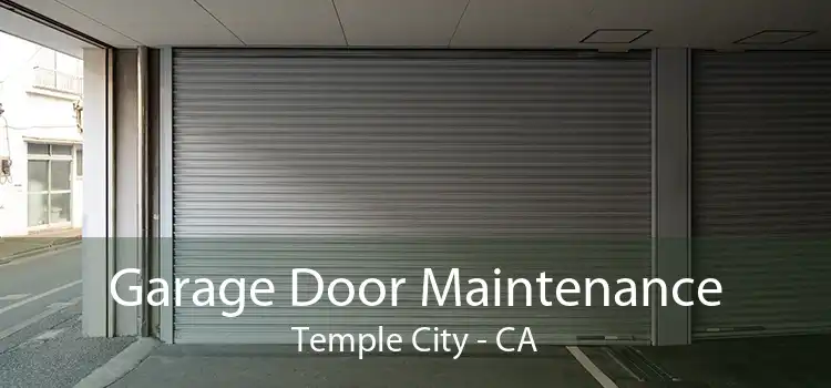 Garage Door Maintenance Temple City - CA