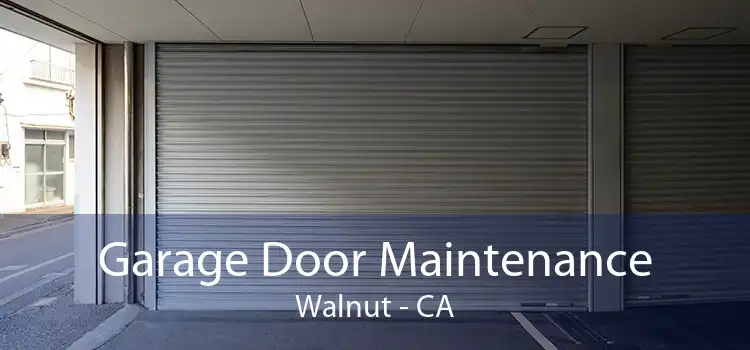Garage Door Maintenance Walnut - CA