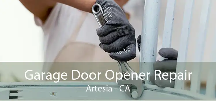 Garage Door Opener Repair Artesia - CA