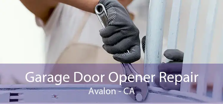 Garage Door Opener Repair Avalon - CA