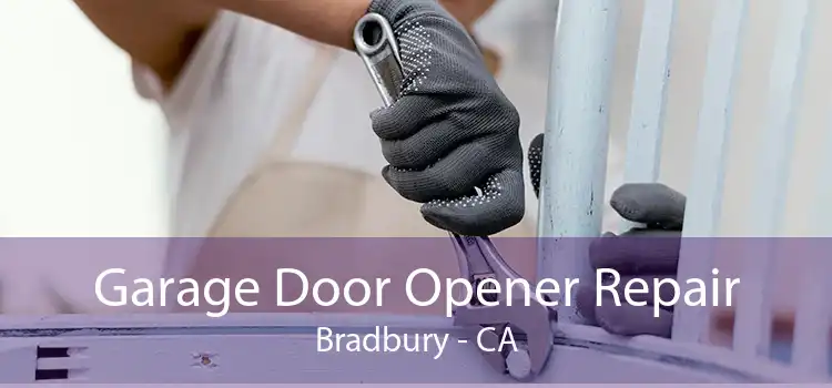 Garage Door Opener Repair Bradbury - CA