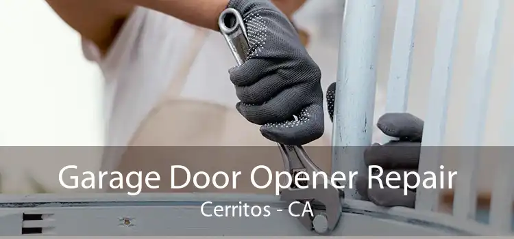 Garage Door Opener Repair Cerritos - CA
