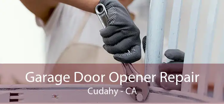 Garage Door Opener Repair Cudahy - CA