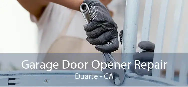 Garage Door Opener Repair Duarte - CA