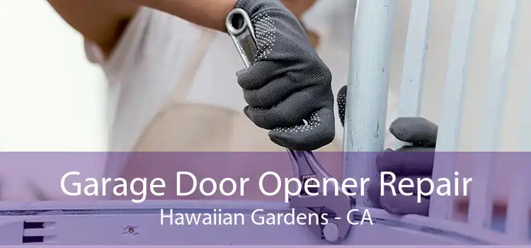 Garage Door Opener Repair Hawaiian Gardens - CA