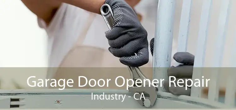 Garage Door Opener Repair Industry - CA