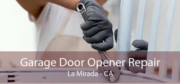 Garage Door Opener Repair La Mirada - CA