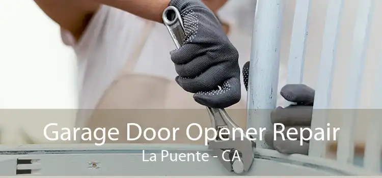Garage Door Opener Repair La Puente - CA