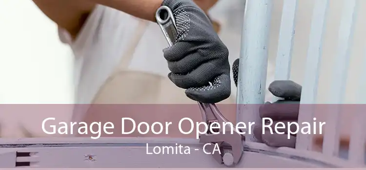 Garage Door Opener Repair Lomita - CA