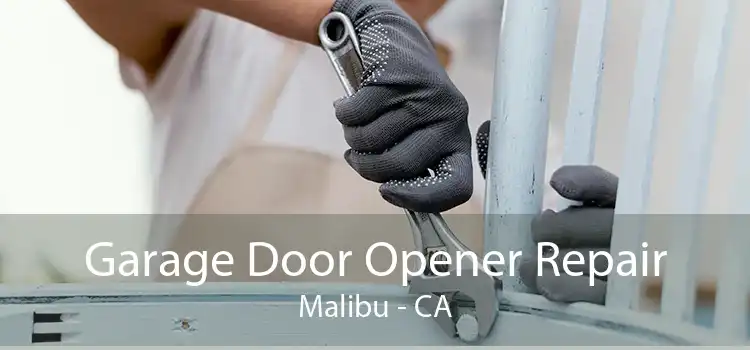 Garage Door Opener Repair Malibu - CA