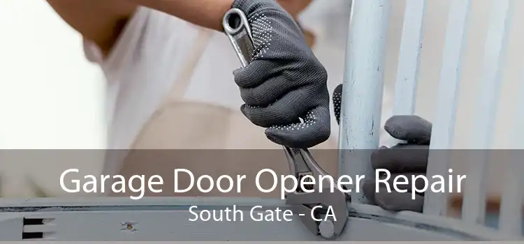Garage Door Opener Repair South Gate - CA