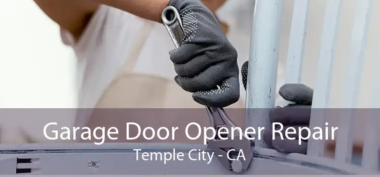 Garage Door Opener Repair Temple City - CA