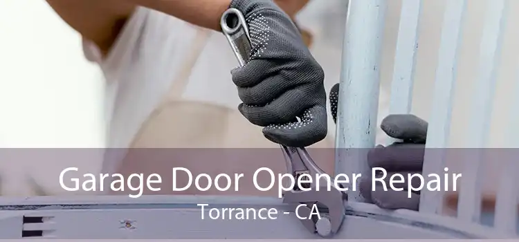 Garage Door Opener Repair Torrance - CA