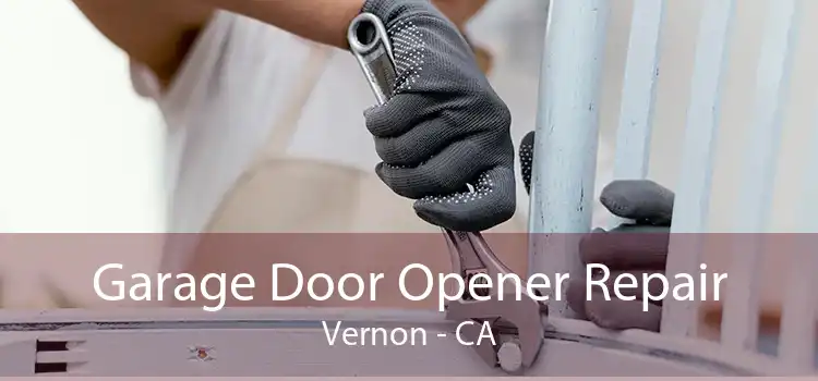 Garage Door Opener Repair Vernon - CA