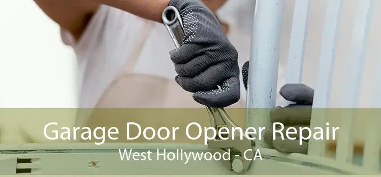 Garage Door Opener Repair West Hollywood - CA