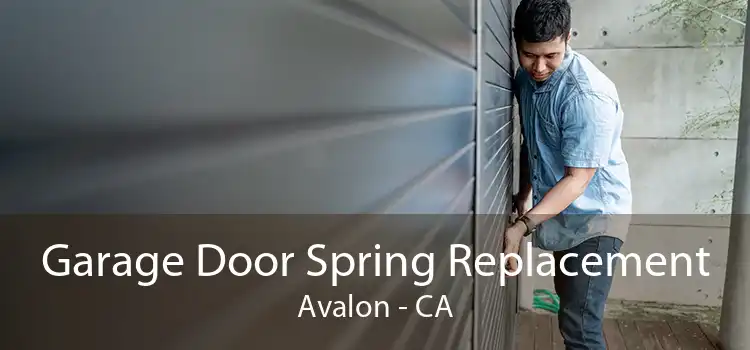 Garage Door Spring Replacement Avalon - CA