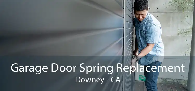 Garage Door Spring Replacement Downey - CA