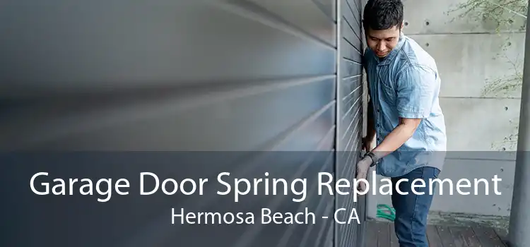 Garage Door Spring Replacement Hermosa Beach - CA