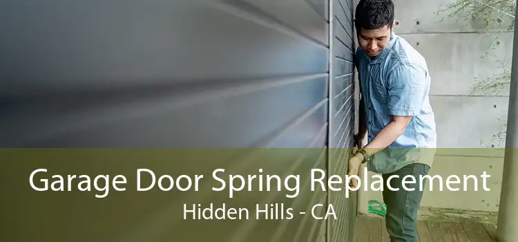 Garage Door Spring Replacement Hidden Hills - CA