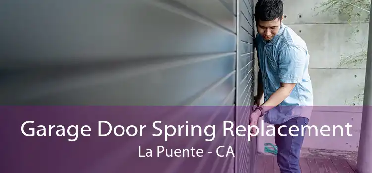 Garage Door Spring Replacement La Puente - CA