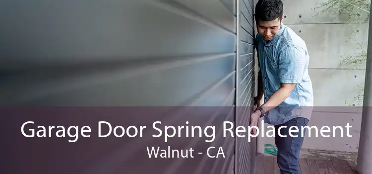 Garage Door Spring Replacement Walnut - CA